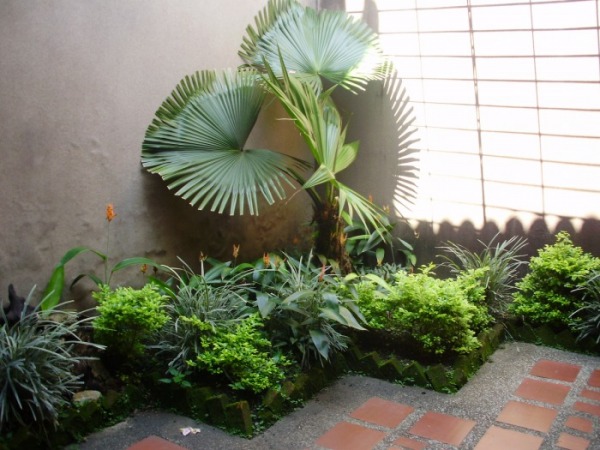 Jardines: Interior y Exterior - Casa Cali